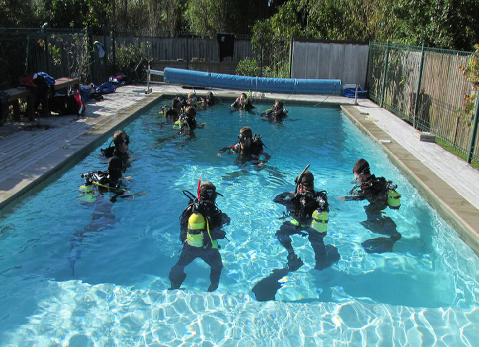 Dive Zone Whitianga/Learn To Dive Dive Zone Whitianga