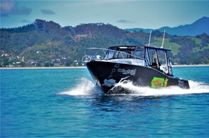 Mystery Machine Dive Boat